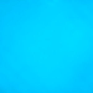 Meet your Posher, Ernest